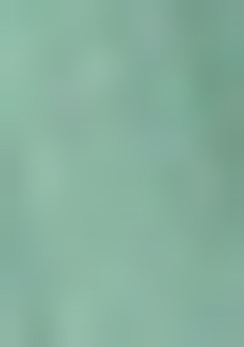 Aqua Blue Embroidered Chiffon Lehenga Set