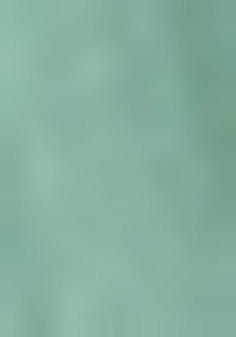 Aqua Blue Embroidered Chiffon Lehenga Set