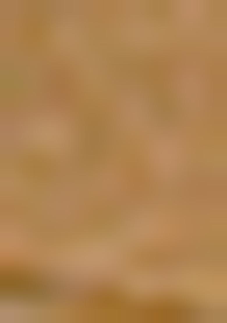 Golden Foil Printed Knit Lehenga Set