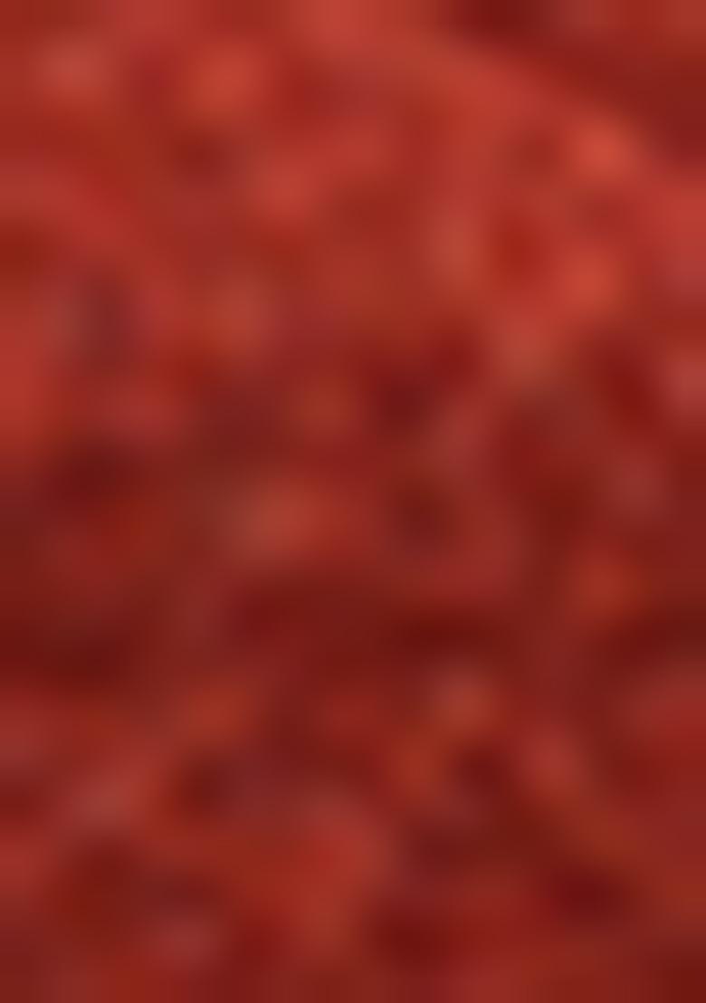 Red Foil Printed Knit Lehenga Set