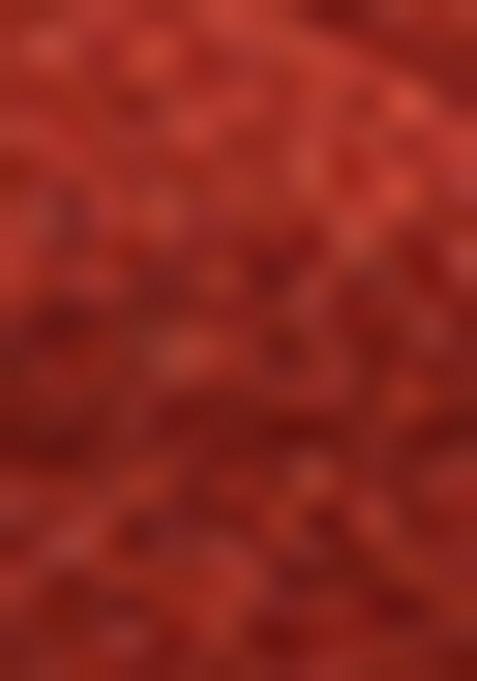 Red Foil Printed Knit Lehenga Set