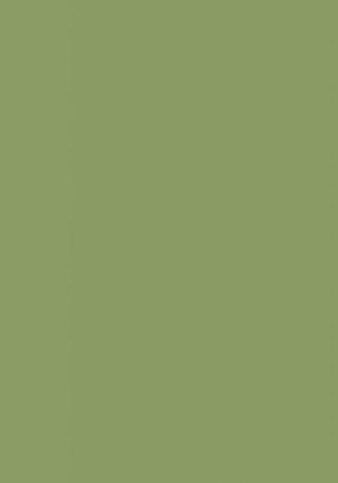 Multi Color Printed cotton Lehenga Set