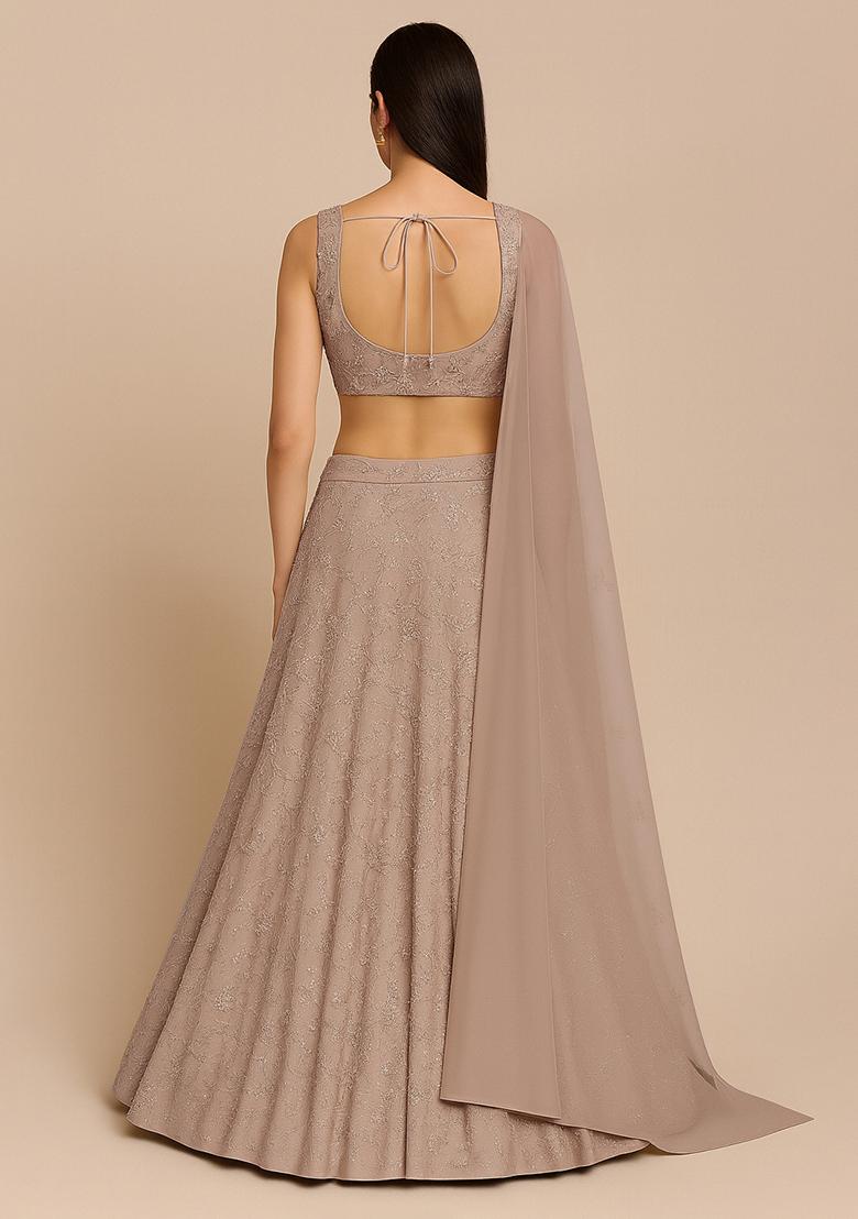 Beige Embroidered Georgette Lehenga Set - Indya