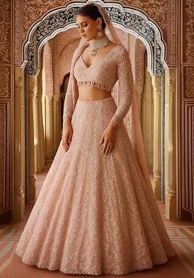 Mauve Embroidered Net Lehenga Set