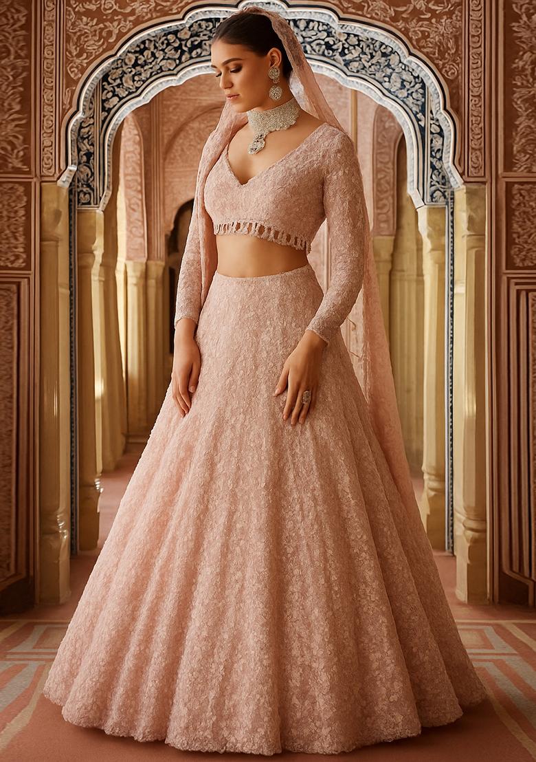 Mauve Embroidered Net Lehenga Set
