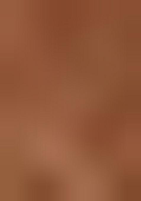 Mauve Embroidered Net Lehenga Set