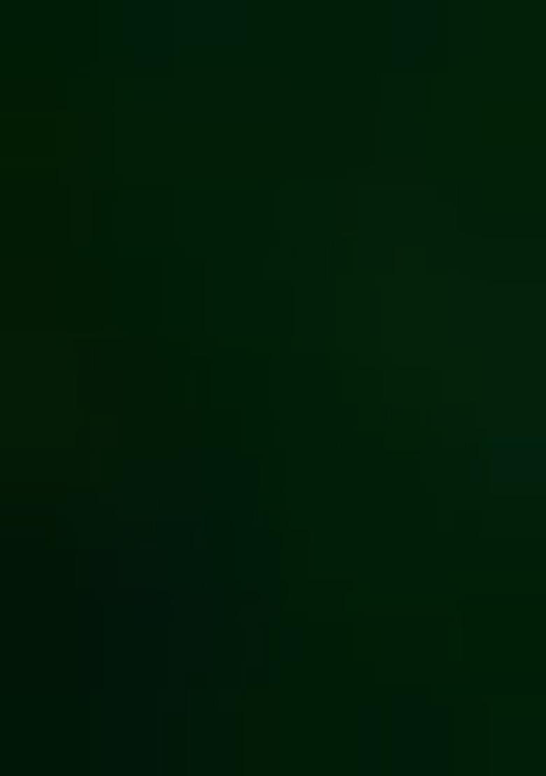 Green Embroidered Net Lehenga Set