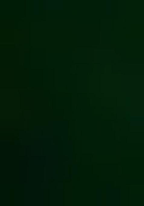 Green Embroidered Net Lehenga Set