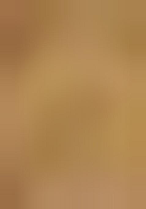 Beige Embroidered Crepe Lehenga Set