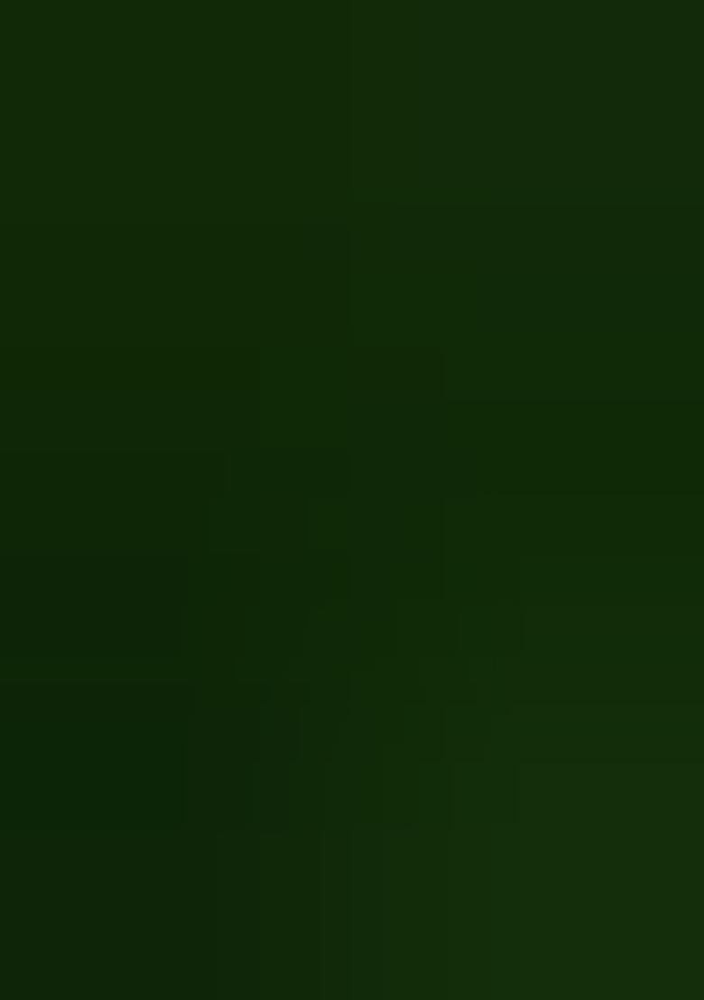 Mehendi Embroidered Georgette Lehenga Set