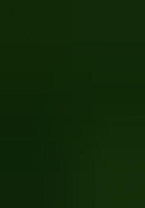 Mehendi Embroidered Georgette Lehenga Set