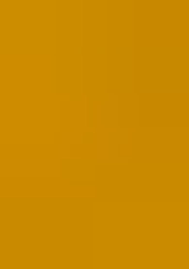 Yellow Embroidered Georgette Lehenga Set