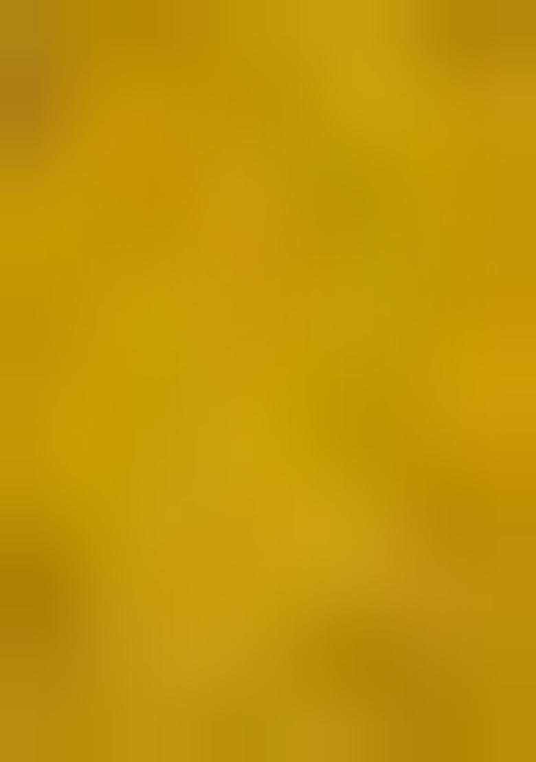 Yellow Embroidered Organza Lehenga Set