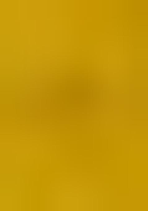 Yellow Embroidered Organza Lehenga Set