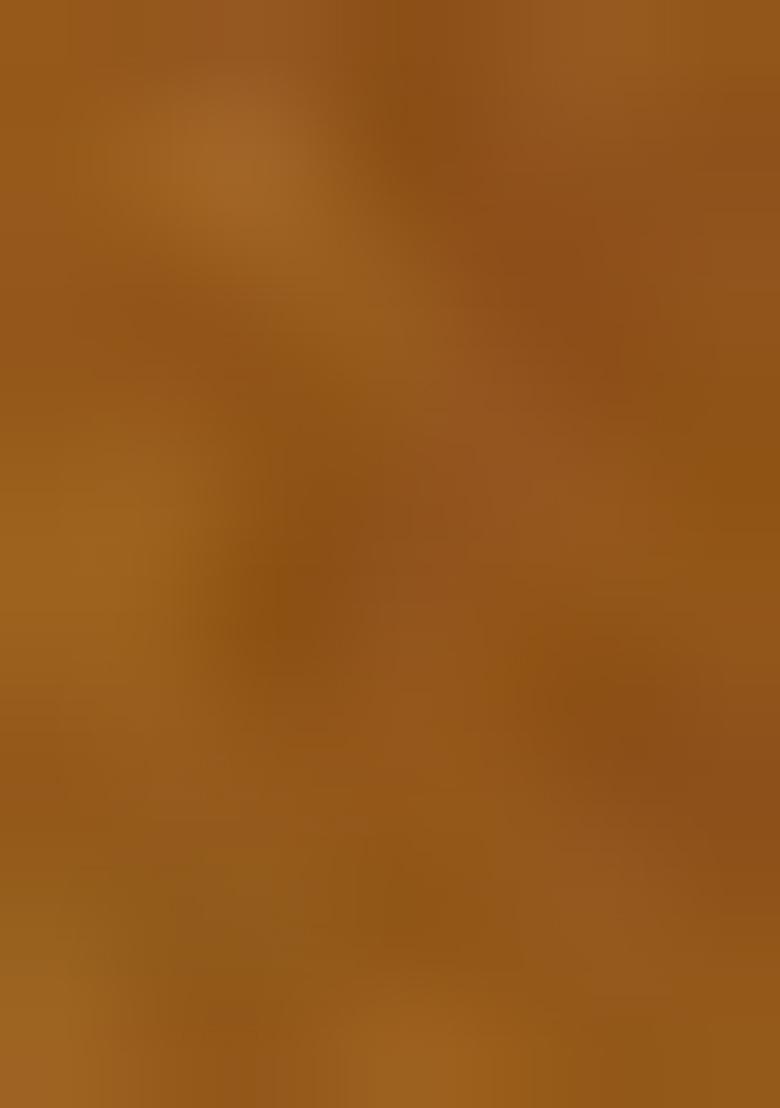 Multi Jacquard Brocade Lehenga Set