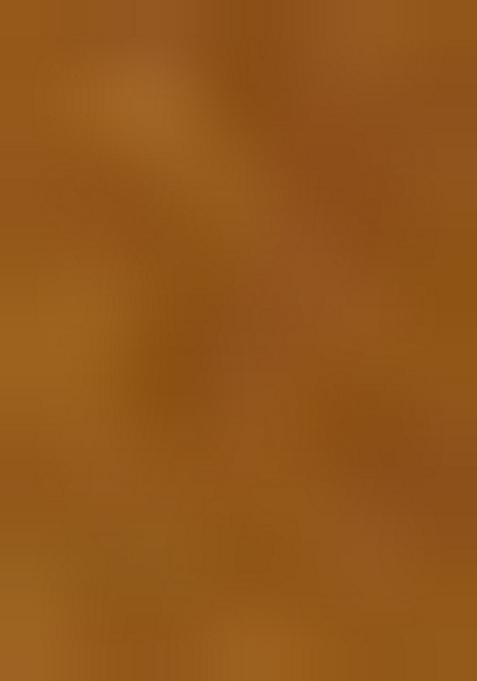 Multi Jacquard Brocade Lehenga Set