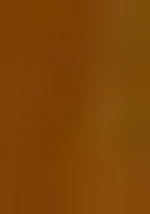 Multi Jacquard Brocade Lehenga Set