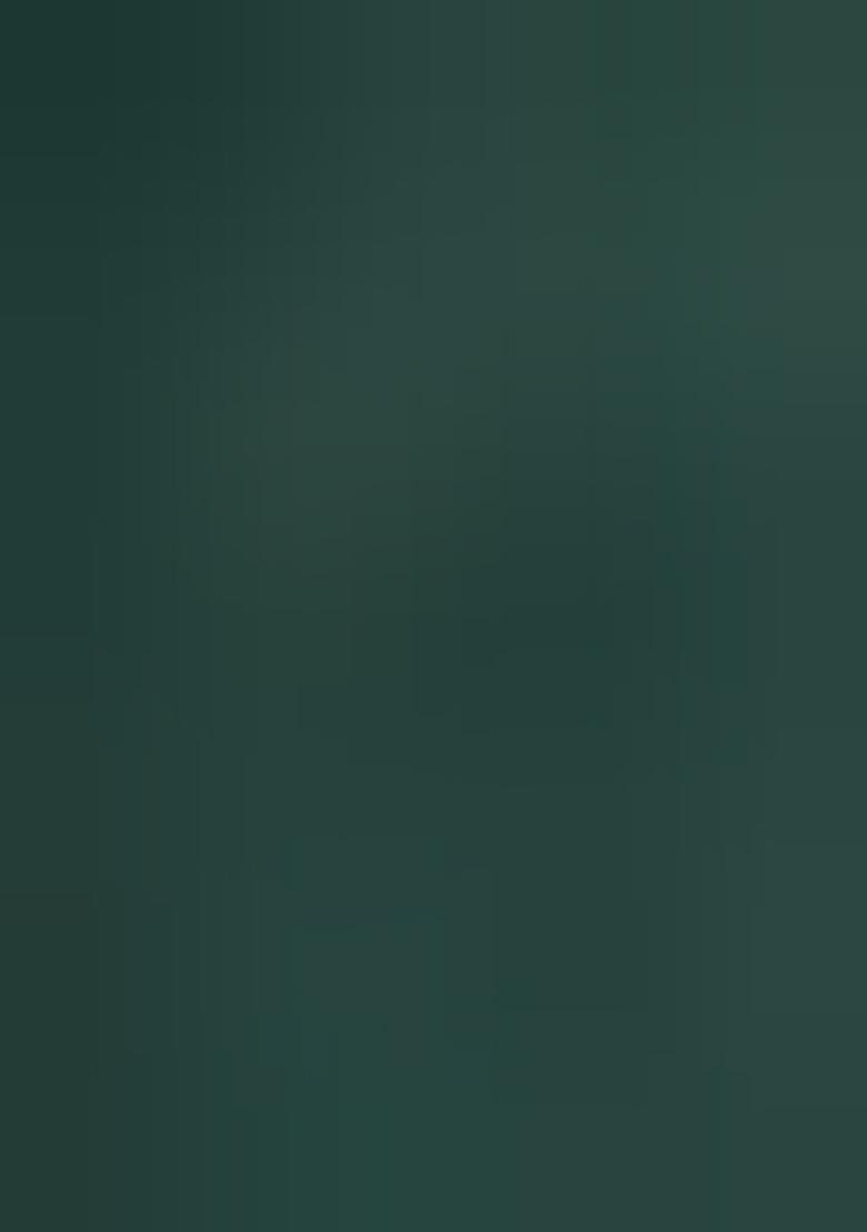 Multi Printed Viscose Lehenga Set