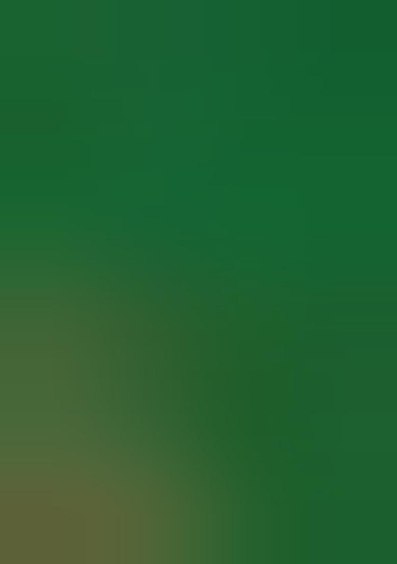 Green Printed Satin Lehenga Set