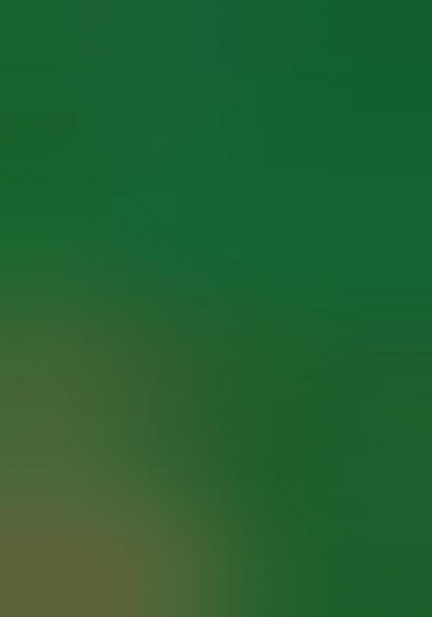 Green Printed Satin Lehenga Set