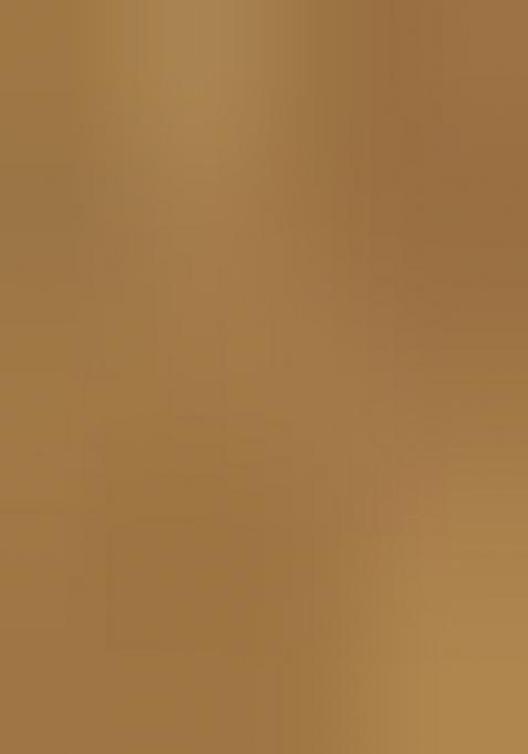 Brown Printed Satin Lehenga Set