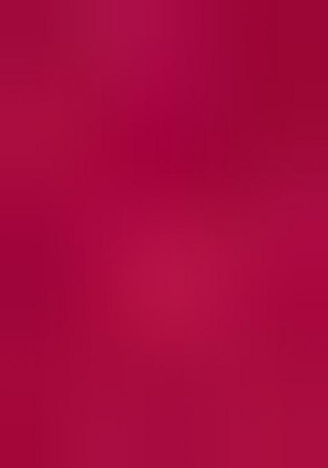 Pink Printed Chiffon Lehenga Set