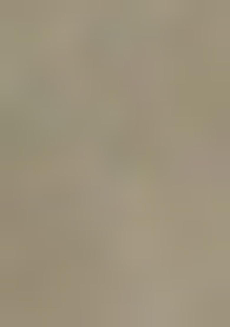 Henna Green Printed Georgette Crop Top Skirt Set