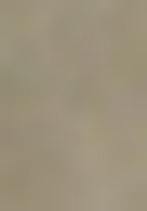 Henna Green Printed Georgette Crop Top Skirt Set