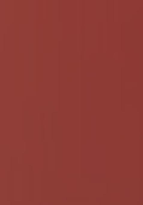 Pink Printed Dola Silk Lehenga Set