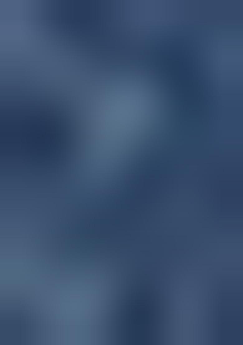 Blue Printed Chiffon Lehenga Set