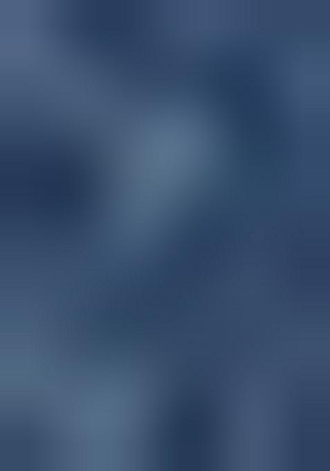 Blue Printed Chiffon Lehenga Set