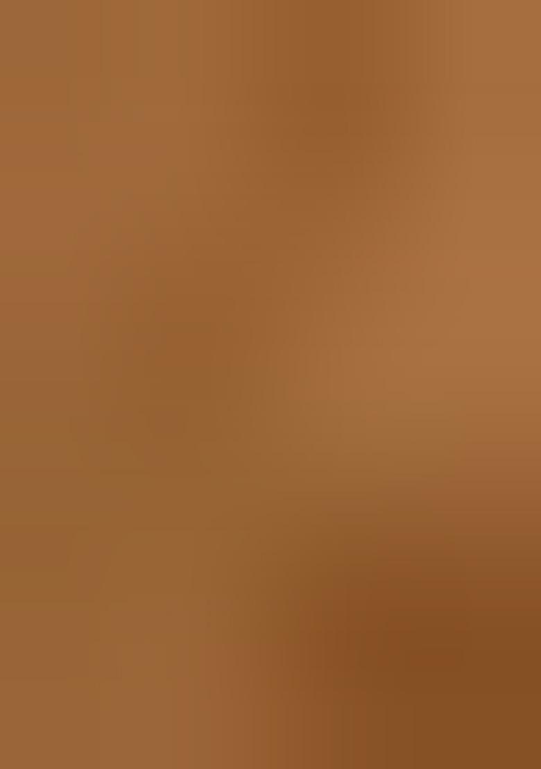 Multicolor Printed Chiffon Lehenga Set