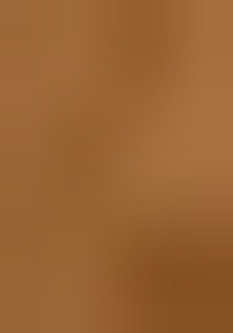 Multicolor Printed Chiffon Lehenga Set