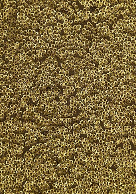 Golden Sequin Embellished Georgette Lehenga Set