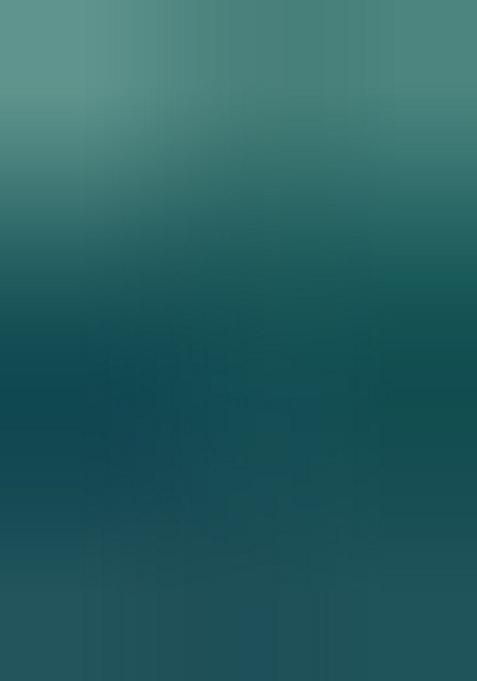 Multicolor Printed Georgette Lehenga Set