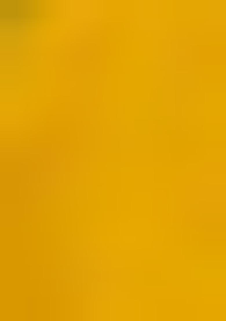 Yellow Printed Georgette Lehenga Set