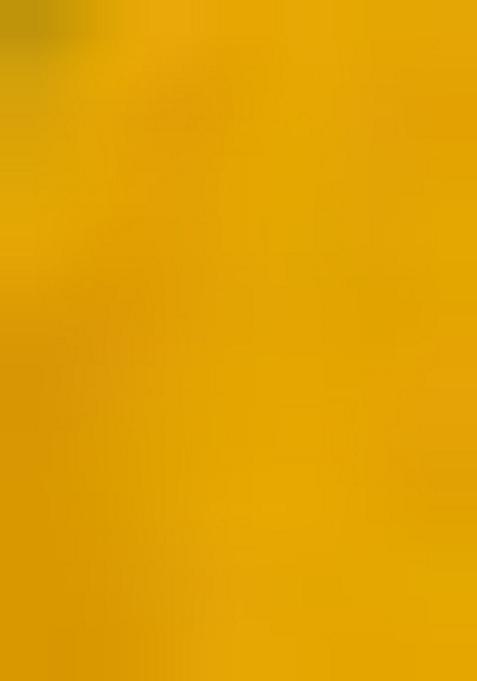 Yellow Printed Georgette Lehenga Set