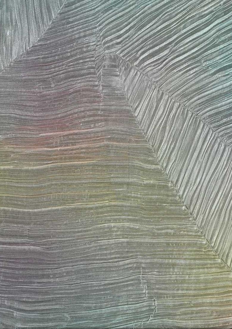 Multicolor Printed Organza Lehenga Set - Indya