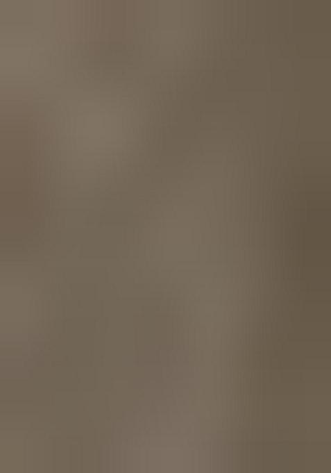 Multicolor Printed Organza Lehenga Set