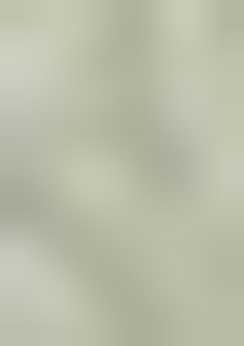 Multicolor Printed Organza Lehenga Set