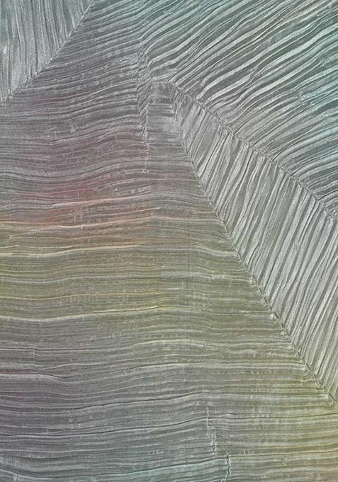 Multicolor Printed Organza Lehenga Set