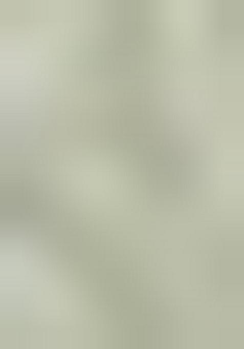 Multicolor Printed Organza Lehenga Set