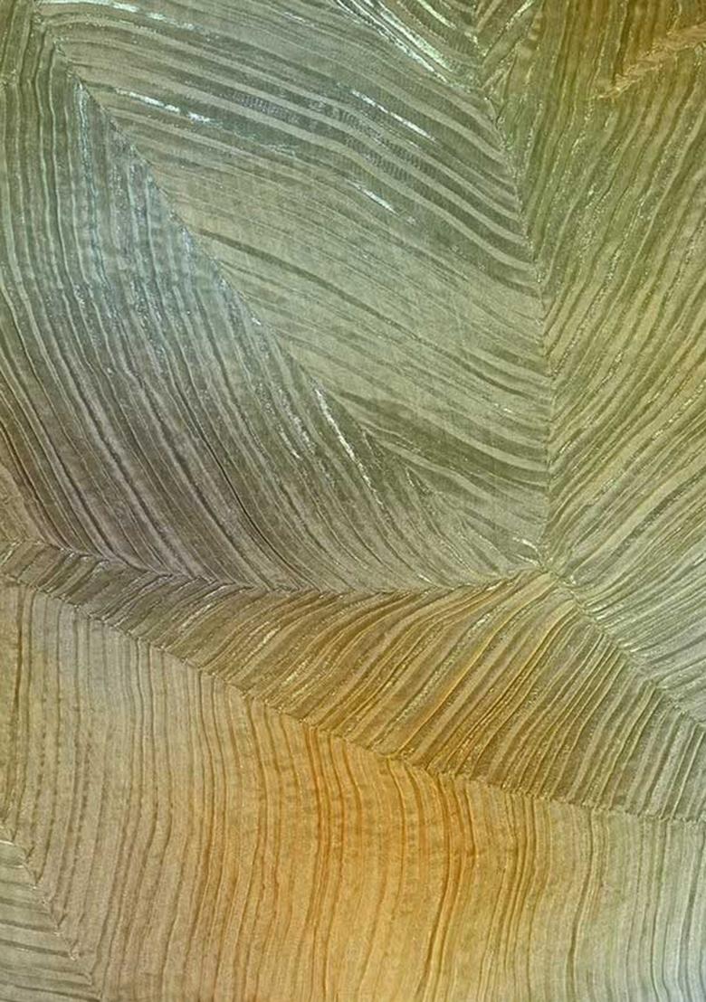 Multicolor Printed Organza Lehenga Set - Indya