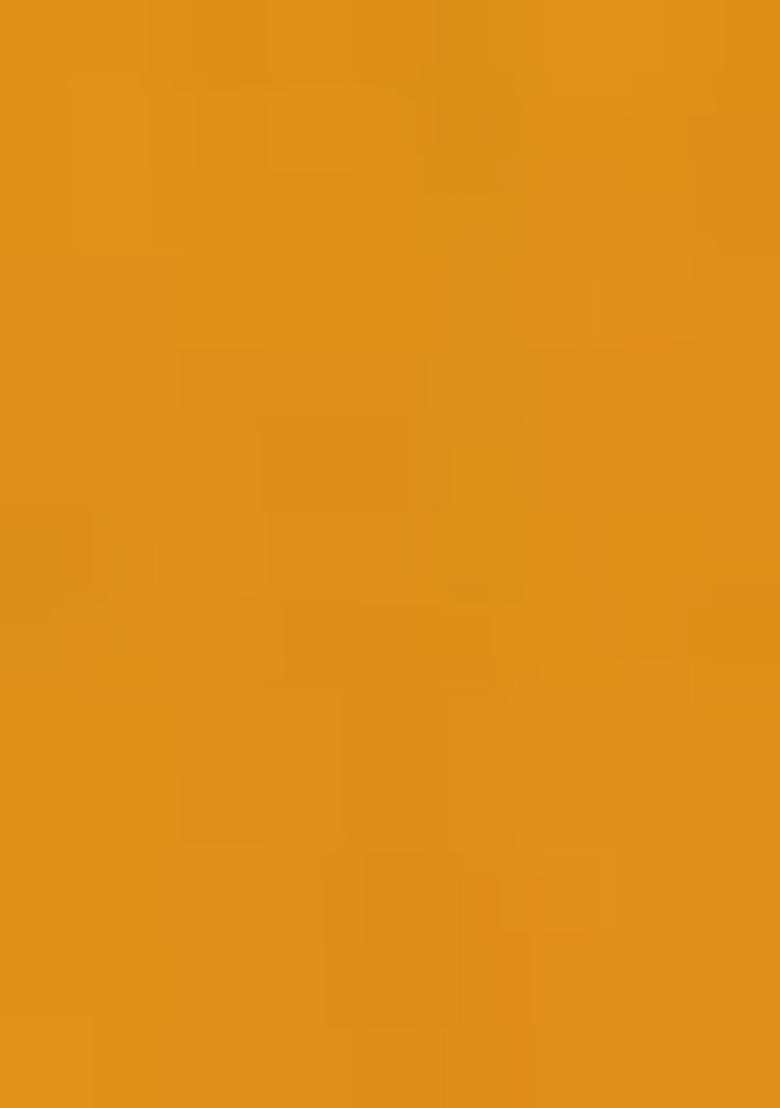 Yellow Printed Georgette Lehenga Set