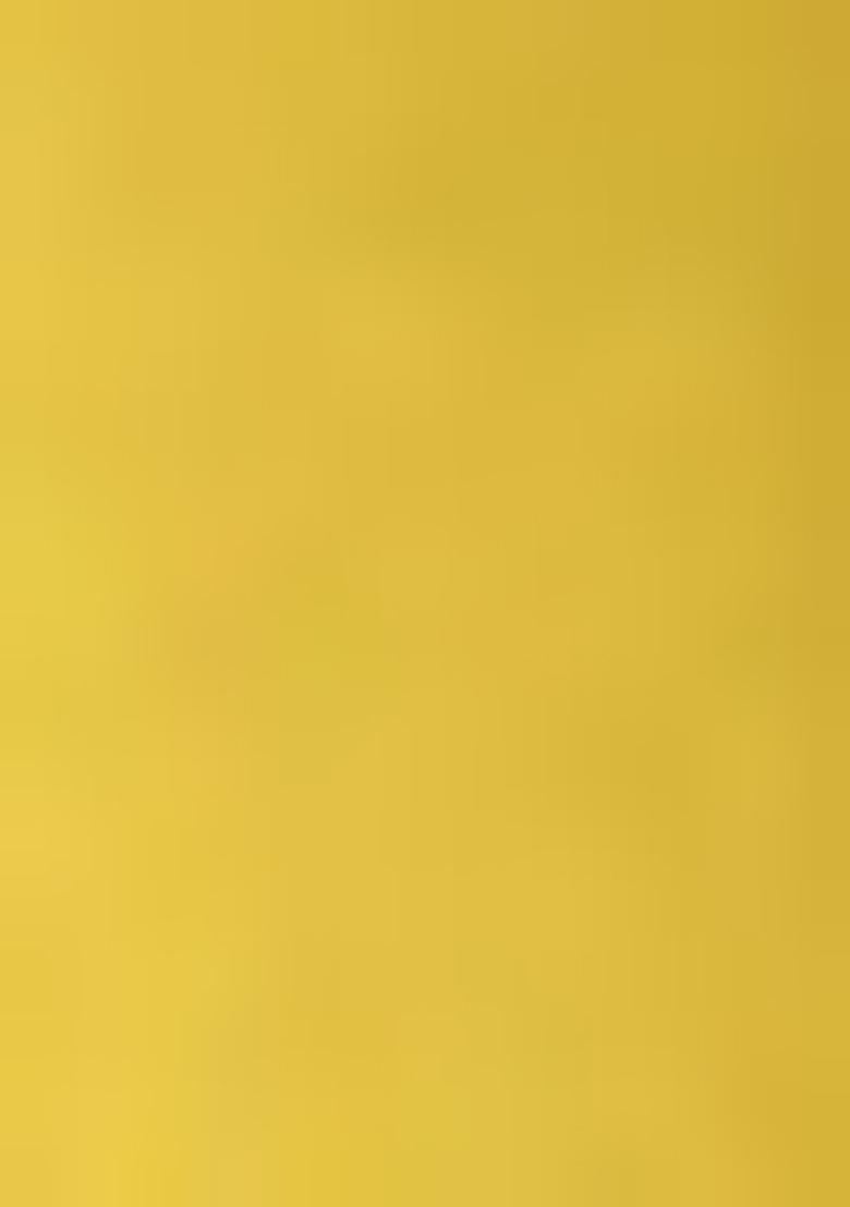 Yellow Printed Georgette Lehenga Set