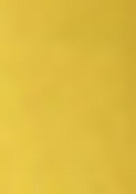 Yellow Printed Georgette Lehenga Set