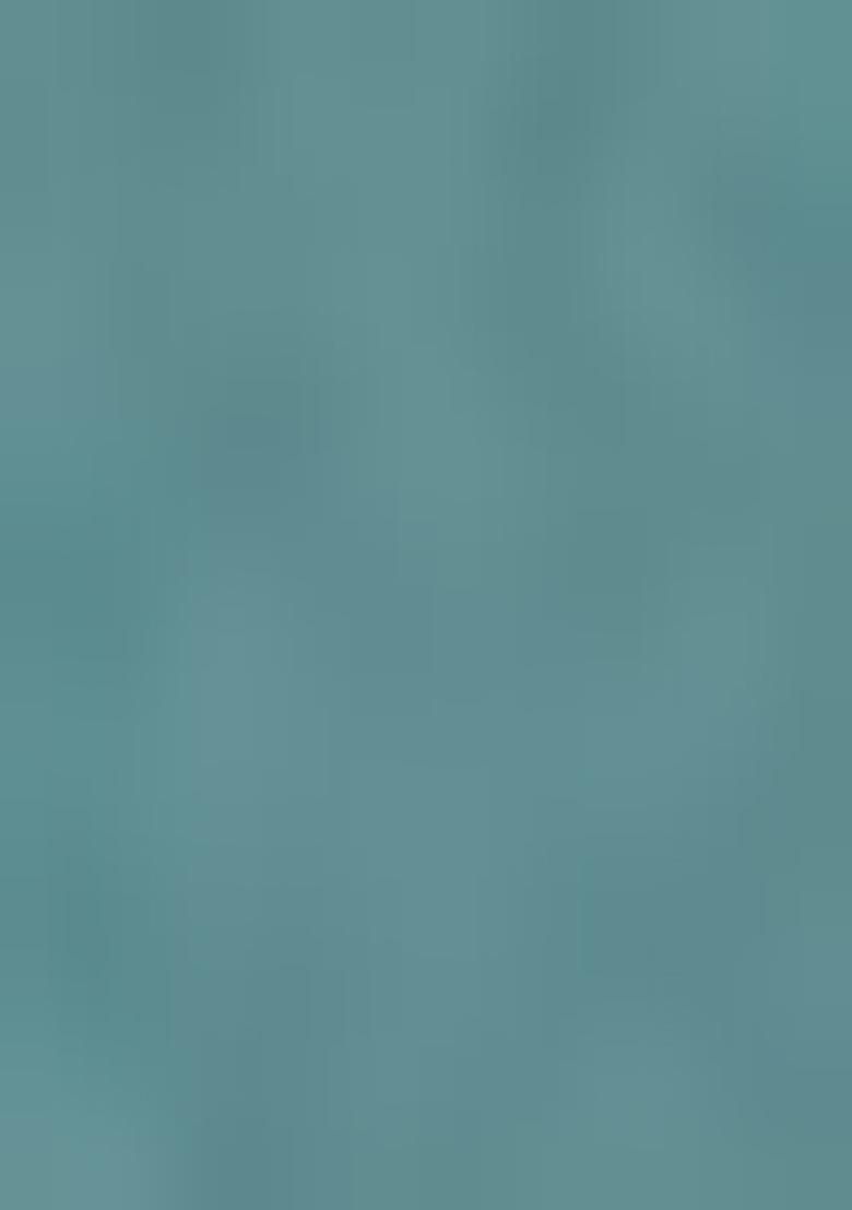 Blue Printed Georgette Lehenga Set