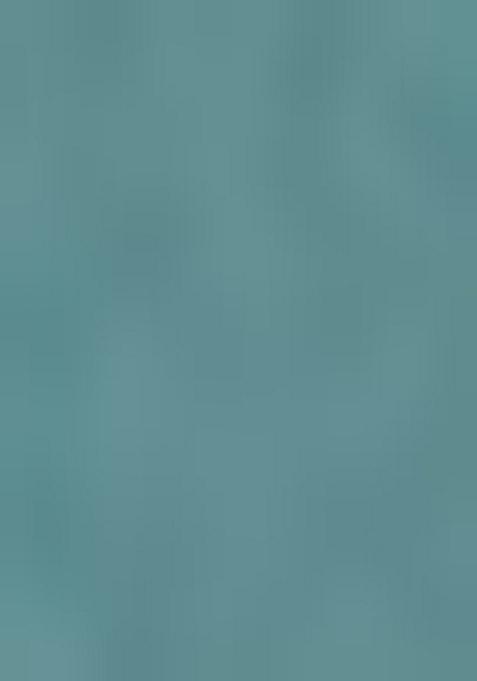 Blue Printed Georgette Lehenga Set