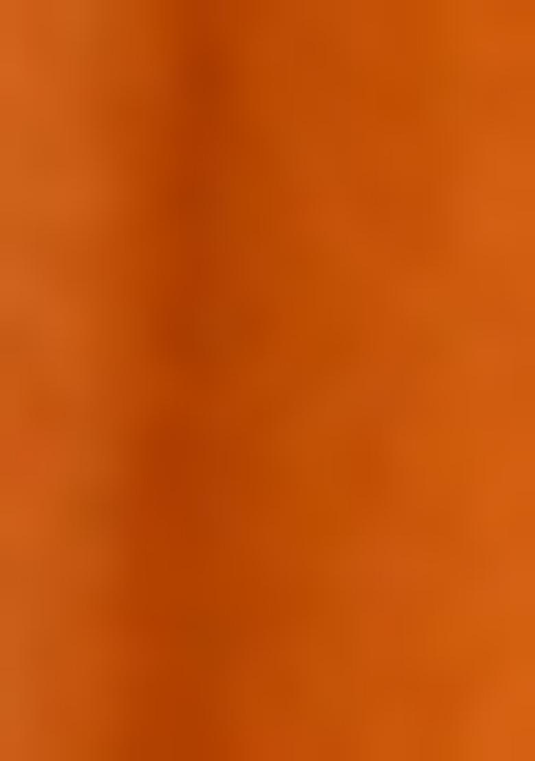 Orange Chanderi Silk Embroidered Lehenga Set