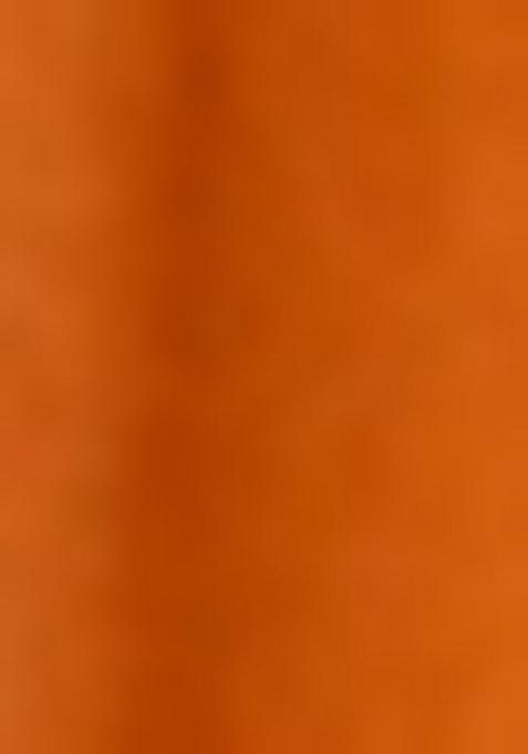 Orange Chanderi Silk Embroidered Lehenga Set